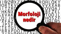 Morfoloji Nedir ?