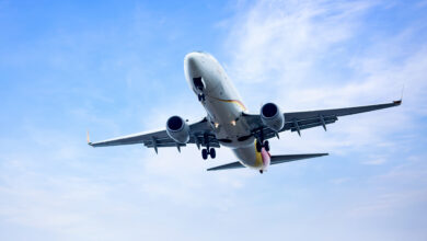 pilot nedir nasil olunur