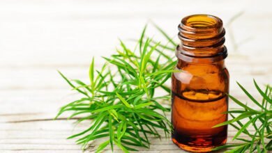 Çay Ağacı Yağı Nedir? 10 cay agaci yagi