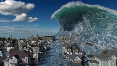 tsunami