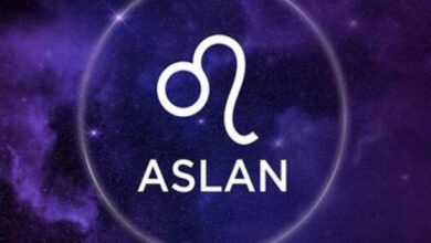 aslan burcu